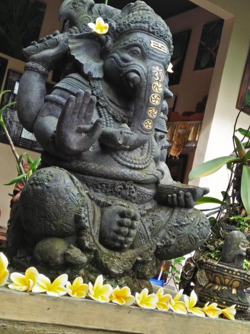 Lionk Bali House Bed and Breakfast Ουμπούντ Εξωτερικό φωτογραφία