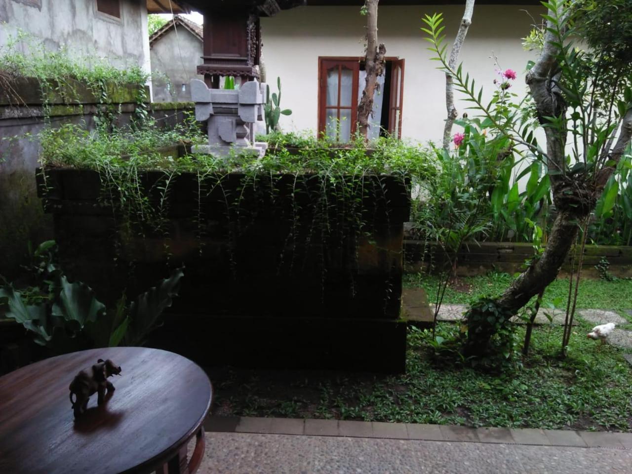 Lionk Bali House Bed and Breakfast Ουμπούντ Εξωτερικό φωτογραφία